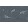 BN 220733 Обои BN (Doodledoo) (1*12) 10,05x0,53 винил на флизелине