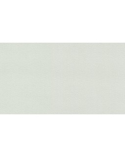 BN 220805 Обои BN (Doodledoo) (1*12) 10,05x0,53 винил на флизелине-foto2