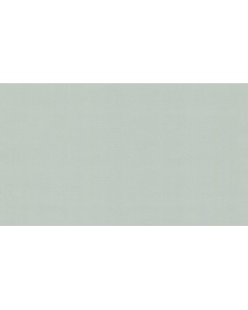 BN 220806 Обои BN (Doodledoo) (1*12) 10,05x0,53 винил на флизелине