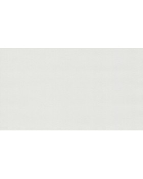 BN 220809 Обои BN (Doodledoo) (1*12) 10,05x0,53 винил на флизелине