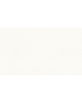 BN 220816 Обои BN (Doodledoo) (1*12) 10,05x0,53 винил на флизелине-foto2