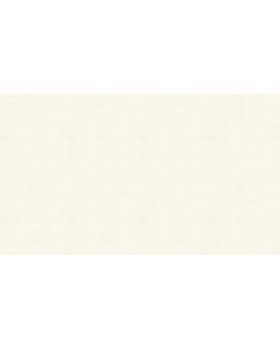 36200906 Обои Lutece (Tartine & Chocolat) (1*12) 10,05x0,53 флизелин-foto3