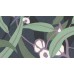 DA23272 Обои Decoprint (Daimon) (1*12) 10,05х0,53 флизелин