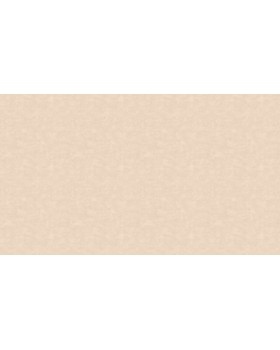 BO23001 Обои Decoprint (Boheme) (1*12) 10,05х0,53 флизелин-foto3