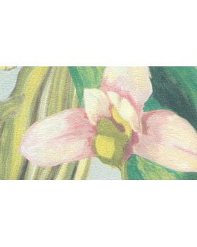 BR24080 Обои Decoprint (Breeze) (1*12) 10,05х0,53 винил на флизелине-foto2