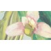 BR24080 Обои Decoprint (Breeze) (1*12) 10,05х0,53 винил на флизелине