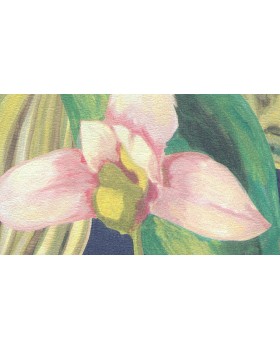 BR24081 Обои Decoprint (Breeze) (1*12) 10,05х0,53 винил на флизелине-foto2