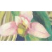 BR24081 Обои Decoprint (Breeze) (1*12) 10,05х0,53 винил на флизелине