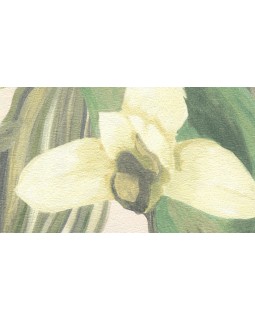 BR24082 Обои Decoprint (Breeze) (1*12) 10,05х0,53 винил на флизелине-foto2