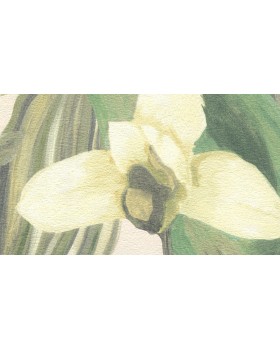 BR24082 Обои Decoprint (Breeze) (1*12) 10,05х0,53 винил на флизелине-foto2