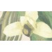 BR24082 Обои Decoprint (Breeze) (1*12) 10,05х0,53 винил на флизелине