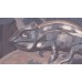 BR24090 Обои Decoprint (Breeze) (1*12) 10,05х0,53 винил на флизелине