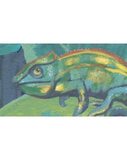 BR24092 Обои Decoprint (Breeze) (1*12) 10,05х0,53 винил на флизелине-foto2