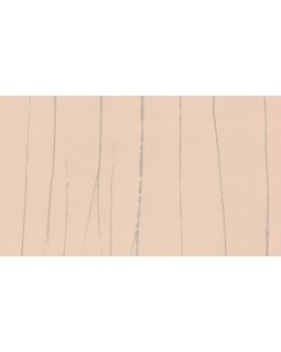 63409 Обои Marburg (Crush Motion) (1*6) 10,05x0,70 флизелин-foto2