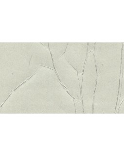 63424 Обои Marburg (Crush Motion) (1*6) 10,05x0,70 флизелин-foto2