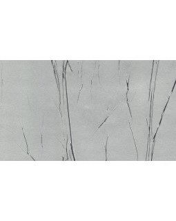 63425 Обои Marburg (Crush Motion) (1*6) 10,05x0,70 флизелин-foto2