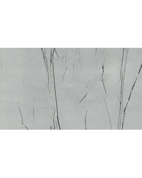 63425 Обои Marburg (Crush Motion) (1*6) 10,05x0,70 флизелин-foto2