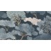 51202401 Обои Lutece (Jardin D'eden) (1*12) 10,05x0,53 винил на флизелине