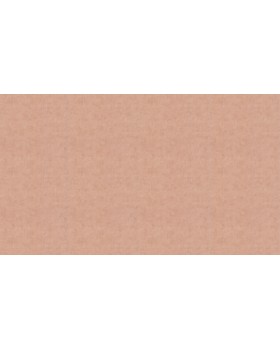 51203013 Обои Lutece (Les Essentiels/Jardin D'eden) (1*12) 10,05x0,53 винил на флизелине-foto3