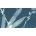 L98901 Обои Ugepa (Eden) (1*12) 10,05x0,53 винил на флизелине