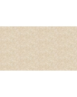 13034 Обои Zambaiti (Italia 106) (1*4) 10,05x1,06 винил на флизелине-foto3