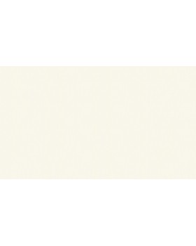 46014 Обои Zambaiti (Trussardi VI) (1*4) 10,05x1,06 винил на флизелине-foto3