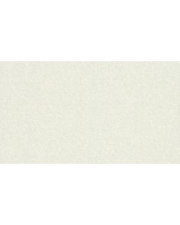 46034 Обои Zambaiti (Trussardi VI) (1*4) 10,05x1,06 винил на флизелине