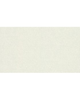 46034 Обои Zambaiti (Trussardi VI) (1*4) 10,05x1,06 винил на флизелине