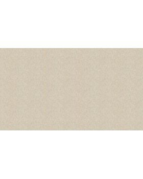 46036 Обои Zambaiti (Trussardi VI) (1*4) 10,05x1,06 винил на флизелине-foto3