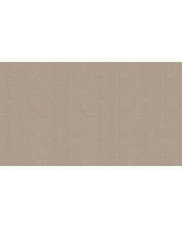 46037 Обои Zambaiti (Trussardi VI) (1*4) 10,05x1,06 винил на флизелине-foto3