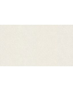 46040 Обои Zambaiti (Trussardi VI) (1*4) 10,05x1,06 винил на флизелине