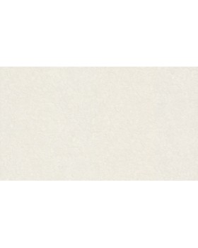 46040 Обои Zambaiti (Trussardi VI) (1*4) 10,05x1,06 винил на флизелине
