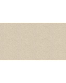 46044 Обои Zambaiti (Trussardi VI) (1*4) 10,05x1,06 винил на флизелине-foto3