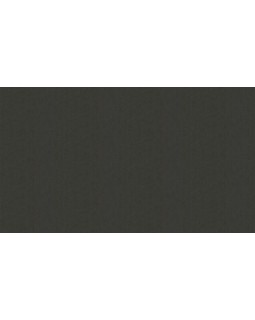 46048 Обои Zambaiti (Trussardi VI) (1*4) 10,05x1,06 винил на флизелине-foto3