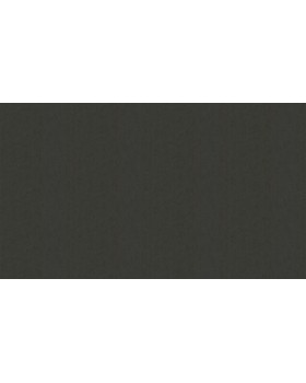 46048 Обои Zambaiti (Trussardi VI) (1*4) 10,05x1,06 винил на флизелине-foto3