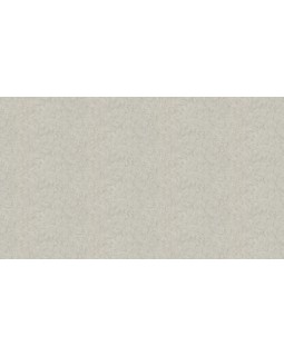 46051 Обои Zambaiti (Trussardi VI) (1*4) 10,05x1,06 винил на флизелине-foto3