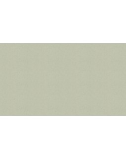 46053 Обои Zambaiti (Trussardi VI) (1*4) 10,05x1,06 винил на флизелине-foto3