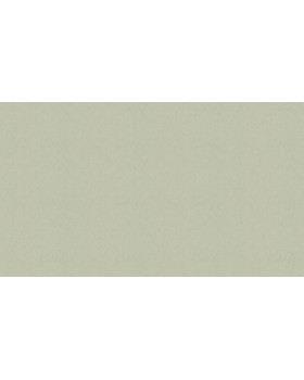 46053 Обои Zambaiti (Trussardi VI) (1*4) 10,05x1,06 винил на флизелине-foto3