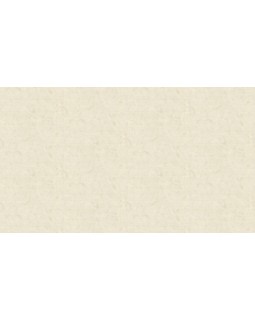 90029 Обои Zambaiti (Lamborghini II) (1*6) 10,05x0,70 винил на флизелине-foto3