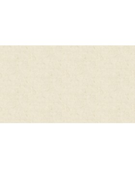 90029 Обои Zambaiti (Lamborghini II) (1*6) 10,05x0,70 винил на флизелине-foto3