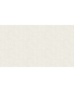 90036 Обои Zambaiti (Lamborghini II) (1*6) 10,05x0,70 винил на флизелине-foto3