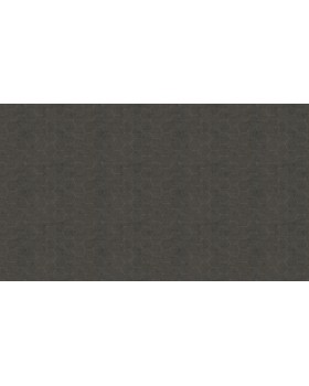 90043 Обои Zambaiti (Lamborghini II) (1*6) 10,05x0,70 винил на флизелине-foto3