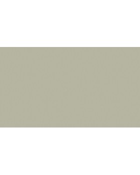 Hg16 005 Обои HYGGE Roll (Dacha) (1*6) 10,05x1,00 флизелин-foto2