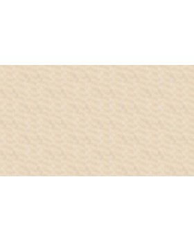 Hg22 002 Обои HYGGE Roll (Dacha) (1*6) 10,05x1,00 флизелин-foto2