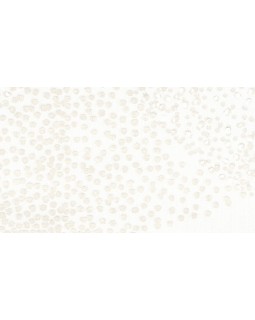 33610 Обои Marburg (Villa Romana) (1*6) 10,05x1,06 винил на флизелине-foto2