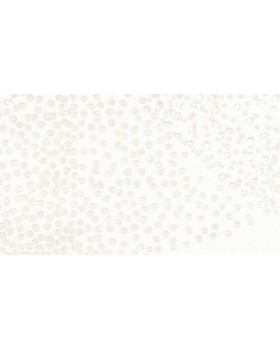 33610 Обои Marburg (Villa Romana) (1*6) 10,05x1,06 винил на флизелине-foto2