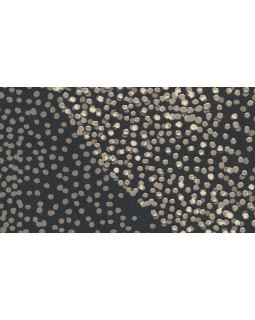 33614 Обои Marburg (Villa Romana) (1*6) 10,05x1,06 винил на флизелине-foto2