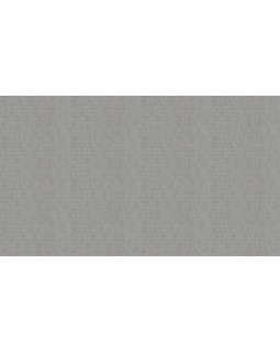 33618 Обои Marburg (Villa Romana) (1*6) 10,05x1,06 винил на флизелине-foto3