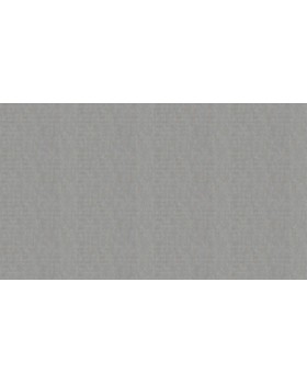 33618 Обои Marburg (Villa Romana) (1*6) 10,05x1,06 винил на флизелине-foto3