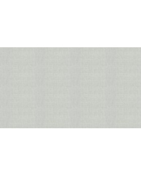 33607 Обои Marburg (Villa Romana) (1*6) 10,05x1,06 винил на флизелине-foto3